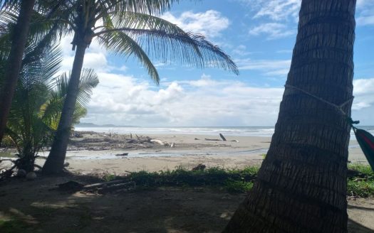 5000m² (1.2 Acre) Lots Near San Miguel Beach – Ready to Build