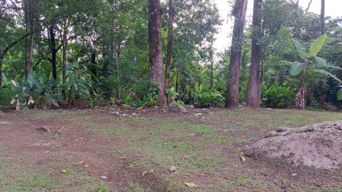 Tranquil Sanctuary: Charming Two-Story Wooden Home Near the River