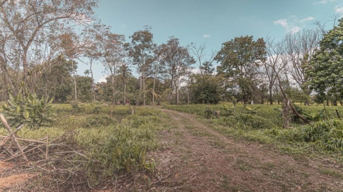 Costa Rica Real Estate