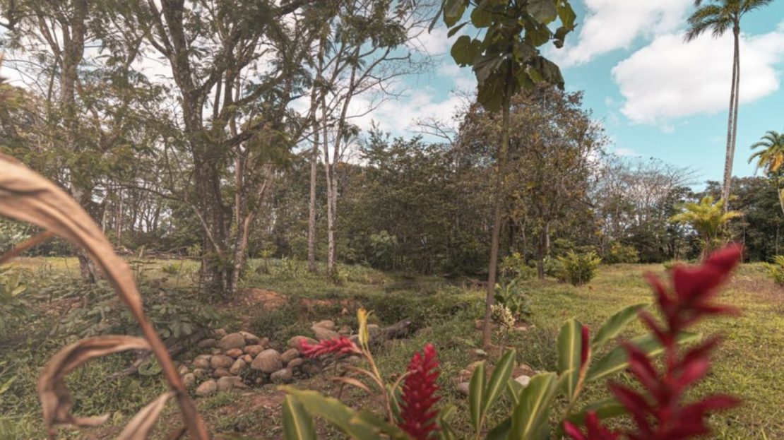 Huge 6 acre Property in San Carlos