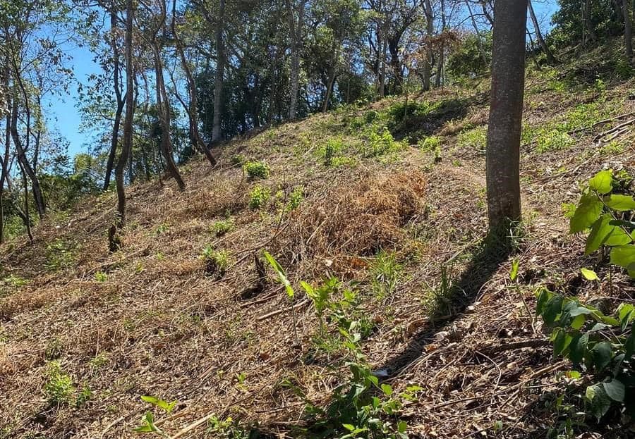 Costa Rica Real Estate