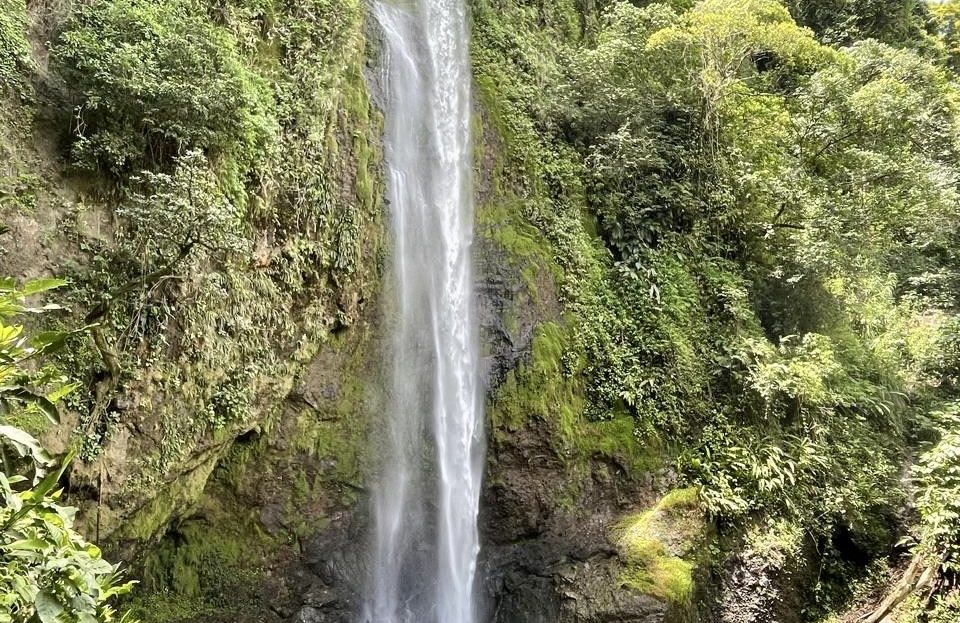 Waterfalls farm for sale