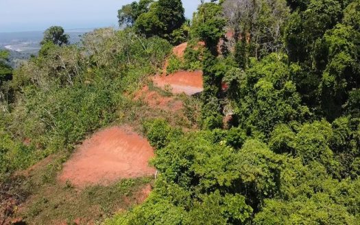 Ocean view Paradise Farm