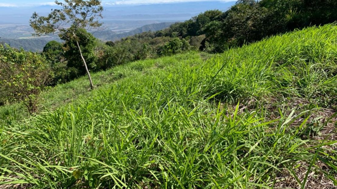 Mountain-Top Property with Spectacular Gulf of Nicoya Views – 2