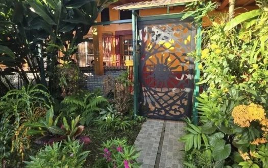 Multi Family Air BnB Turnkey Investment Property La Fortuna WALK to ALL