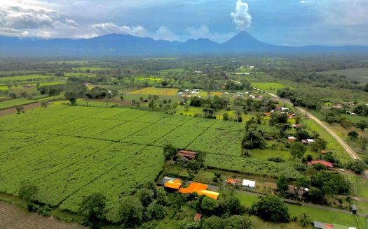 San Carlos -  La Fortuna