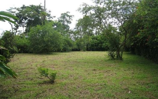 San Carlos -  La Fortuna