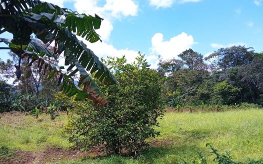 Beautiful 1.25 acre plot with River and Fruit Trees Ready to Build near La Fortuna Costa Rica for Sale