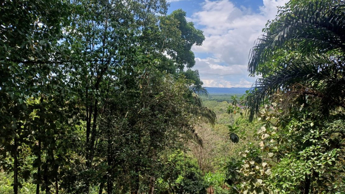 Corredores Real Estate Listings 28876