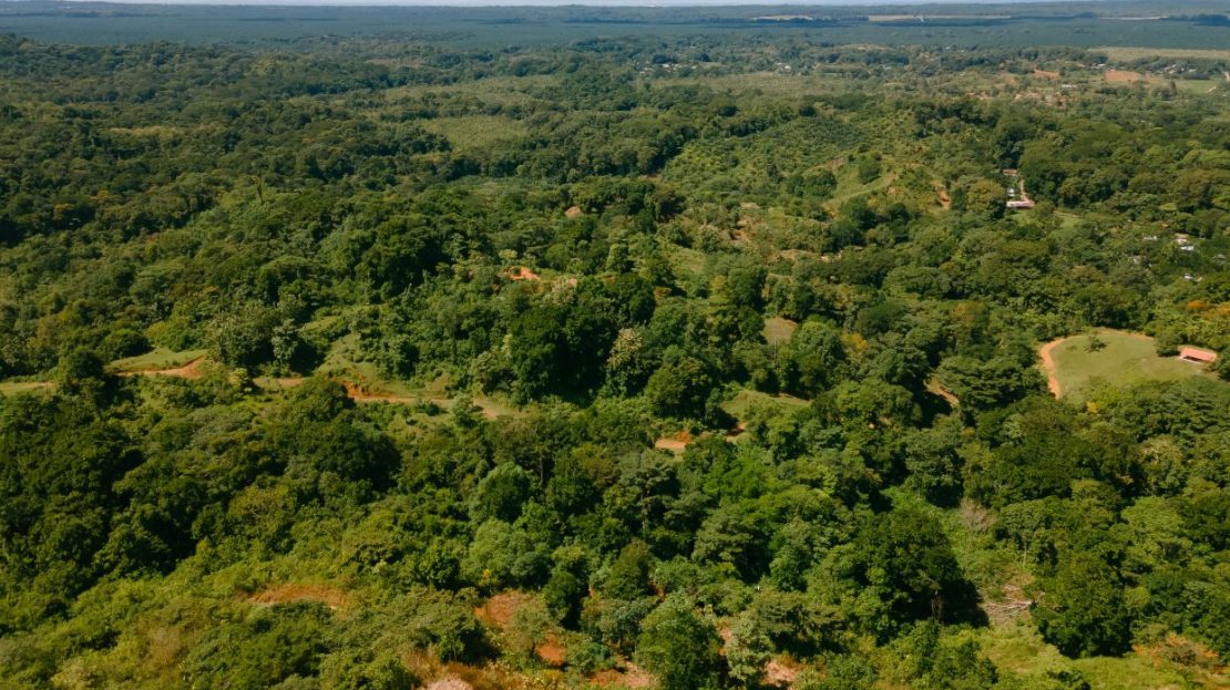 Costa Rica Farmland with Ocean Views – Perfect for Off-Grid Living & Eco Retreat