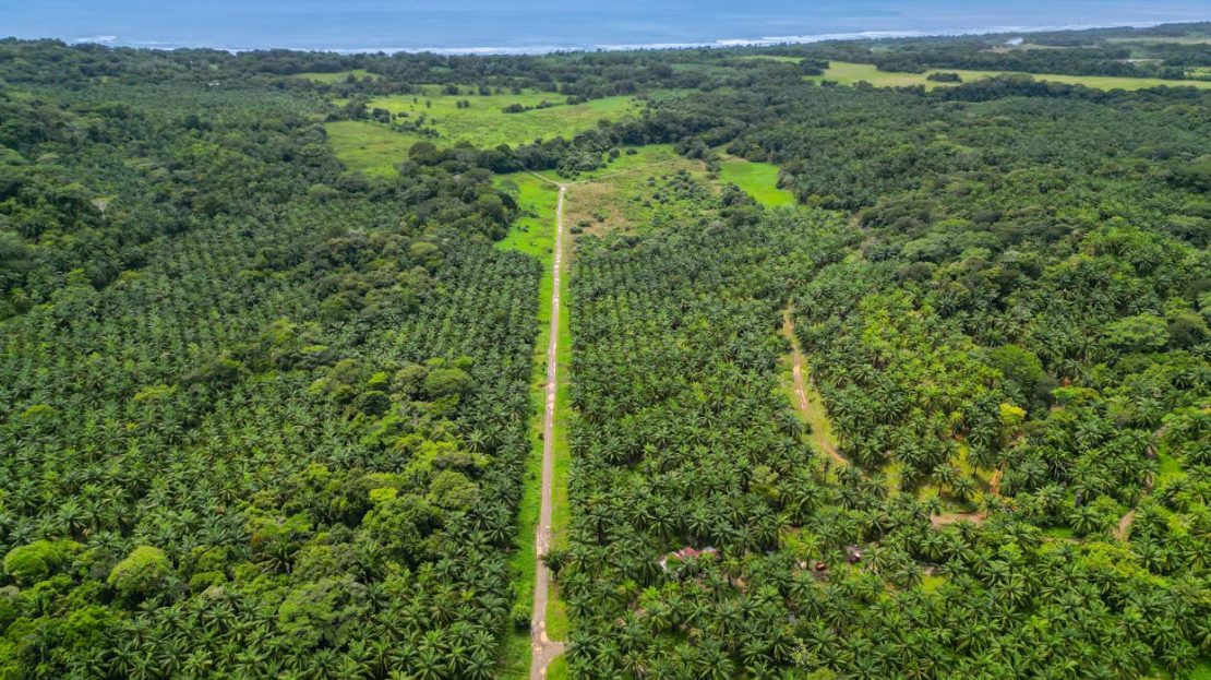 Costa Rica Real Estate