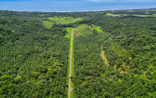 Great Investment Opportunity – 25 Hectares of Lot next to Esterillos Beach (Seller Financing)