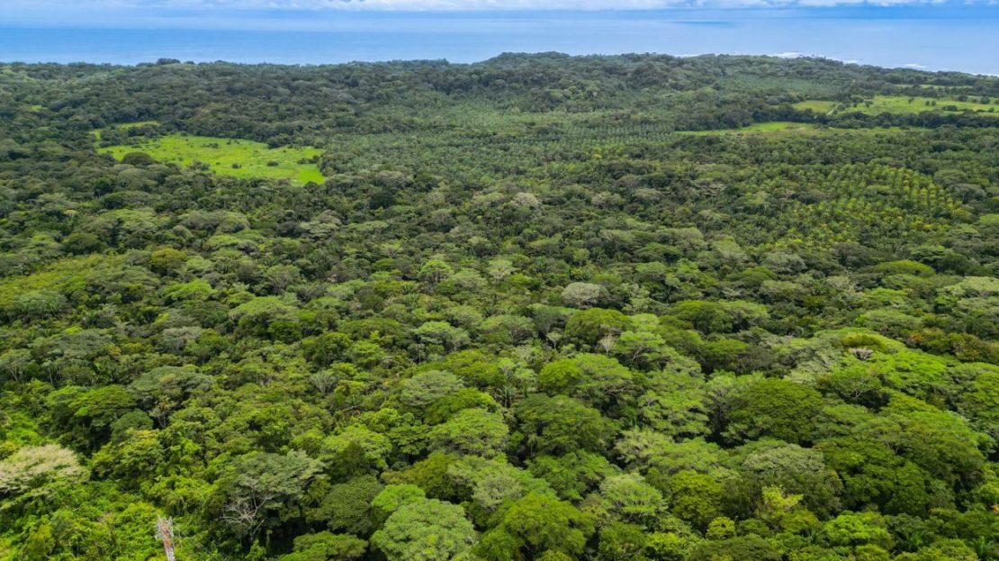 Costa Rica Real Estate