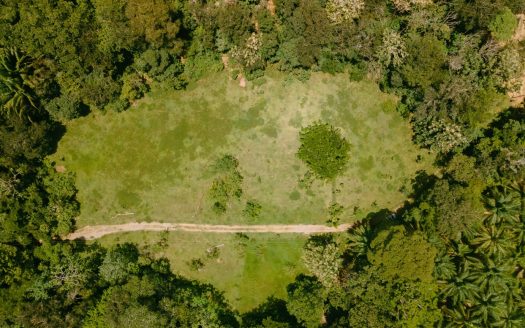 Own 2 Hectares of your peace of paradise only 17 minutes from Marina Pez Vela!