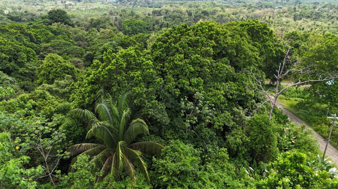 Costa Rica Real Estate