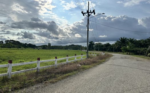 Excellent Cattle Farm in Beautiful Rural Property with Fruit Orchard