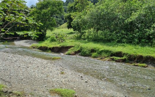 Expansive 104,042 Acres Property with Natural Beauty and Privacy – Ideal Investment Opportunity near Golfito, Costa Rica