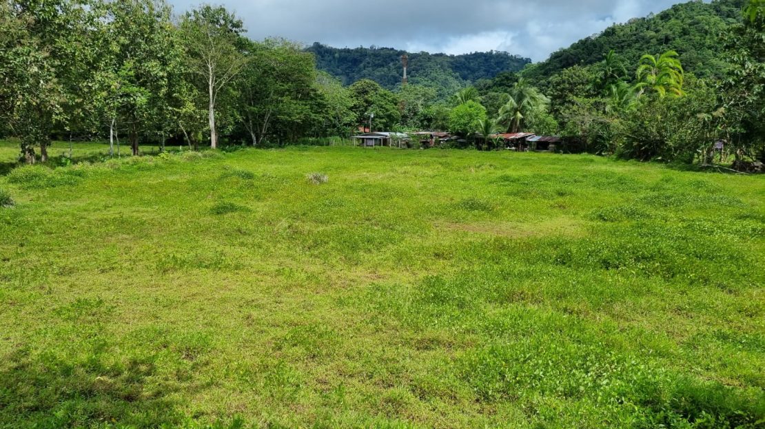 Golfito>Golfito Real Estate Listings 26878
