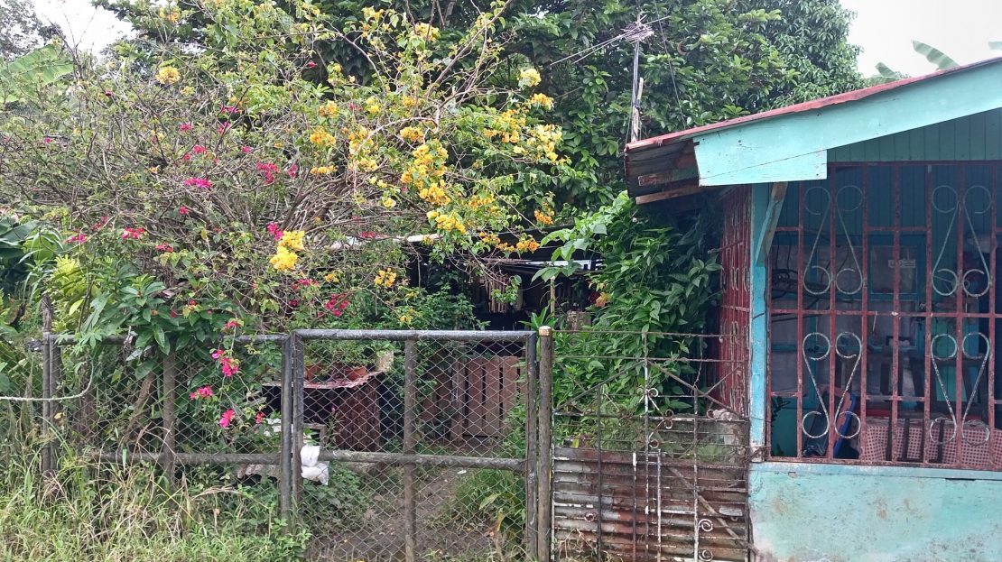 Golfito>Golfito Real Estate Listings 29421