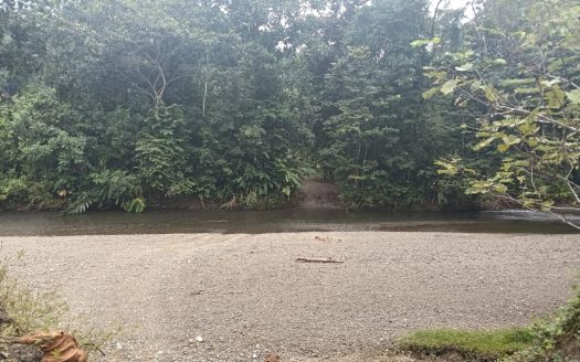 Opportunity Property: Expansive Farm with Mountain Views and Main Road Access in Las Viquillas, Golfito