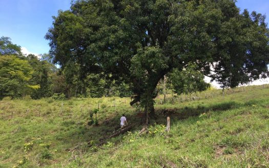 Preserve Nature: Own 104 Hectares of Pristine Paradise in Río Claro, Golfito