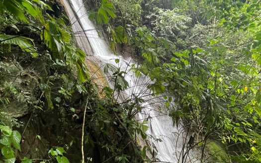 Waterfall Property for Sale in Guaycará de Golfito | 78-Acre Jungle Estate in Costa Rica