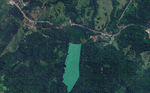 Eco-Farm Property for Sale in Guaycará de Golfito | 16.6 Hectares Near Interamericana Highway