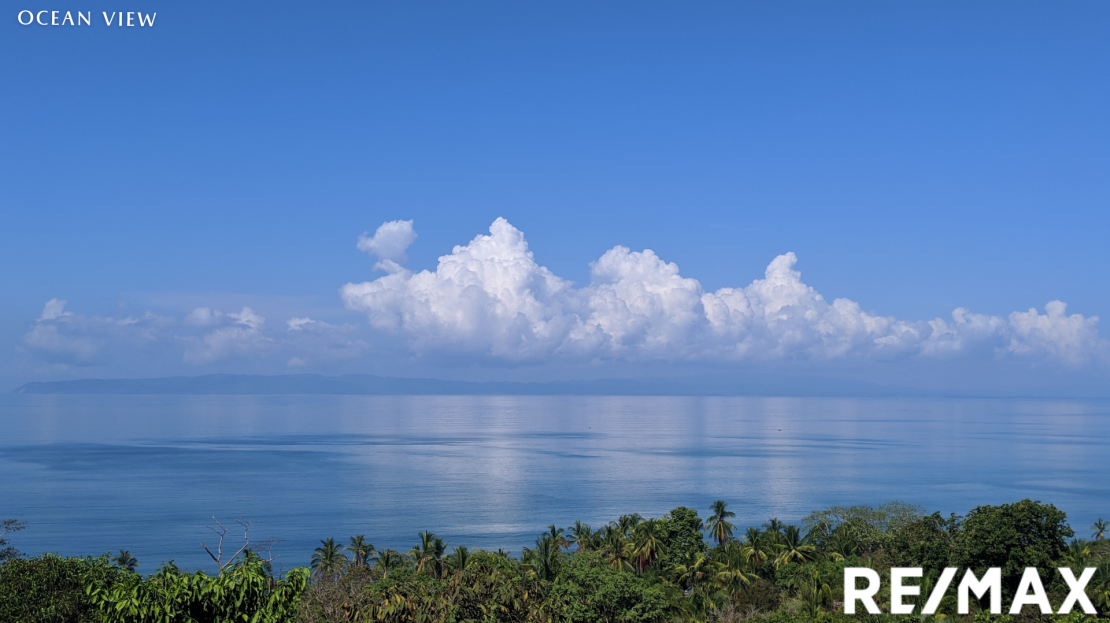Golfito>Pavones Real Estate Listings 21675