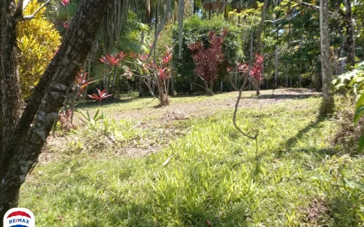 Rio Claro Ocean View Finca