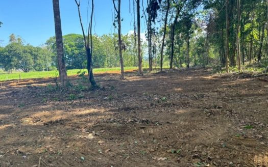 Flat Lot for Sale in Pavones – 5-Minute Walk to the Beach