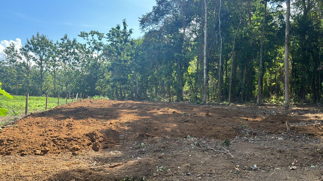 Golfito>Pavones Real Estate Listings 26805