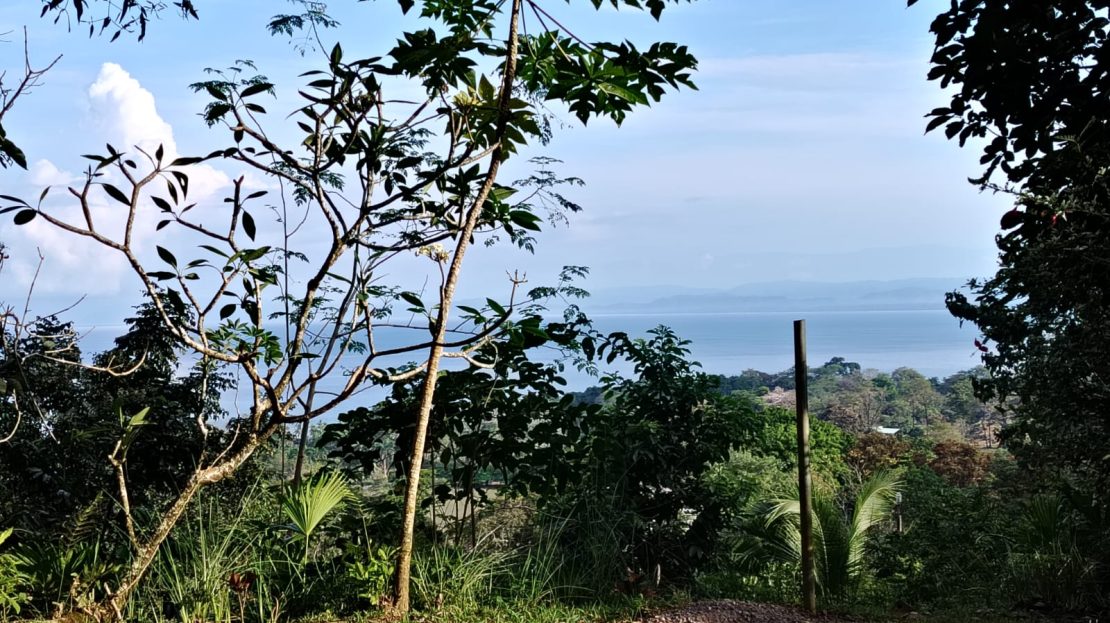 Golfito>Pavones Real Estate Listings 28361