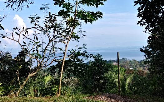 Golfito>Pavones Real Estate Listings 28361