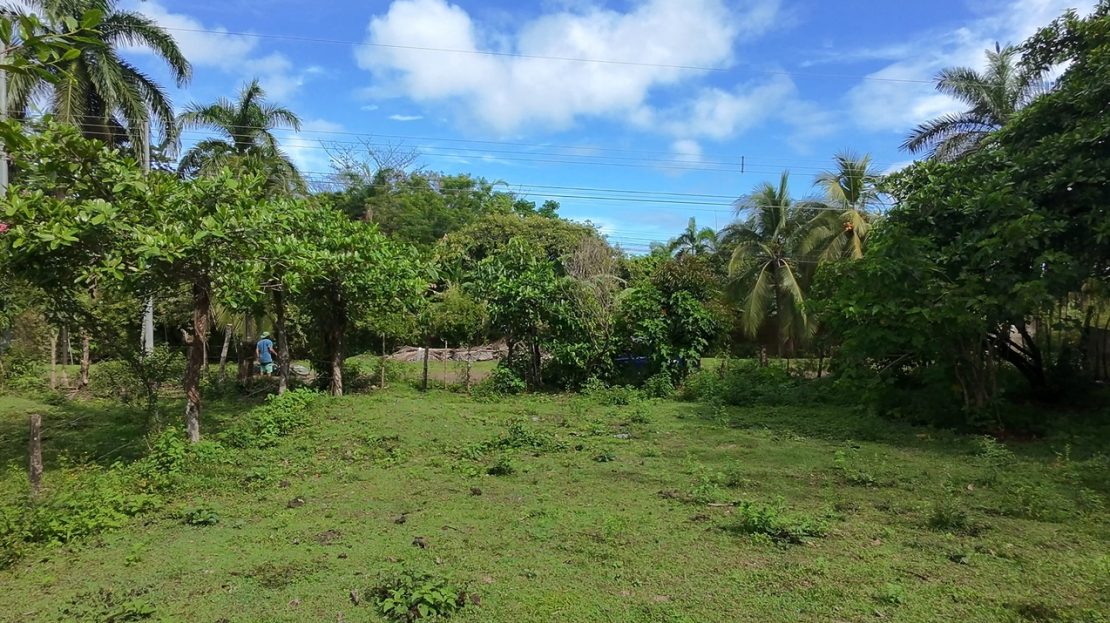 Golfito>Pavones Real Estate Listings 28476