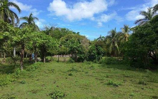 Golfito>Pavones Real Estate Listings 28476