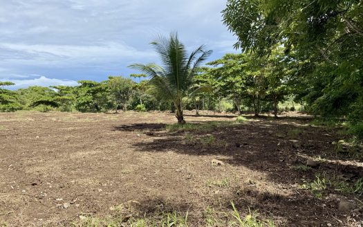 Titled 1,000 m² Lot for Sale in Pavones, Costa Rica – Prime Surfside Location