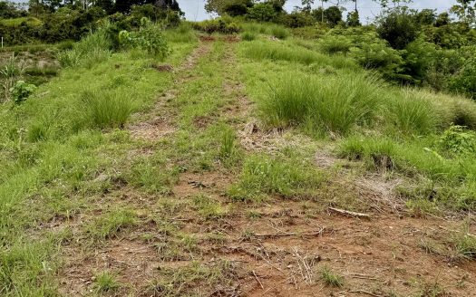 Ocean View Property in Cuervito, Pavones – 5014 sqm with Abundant Water and Electric Access