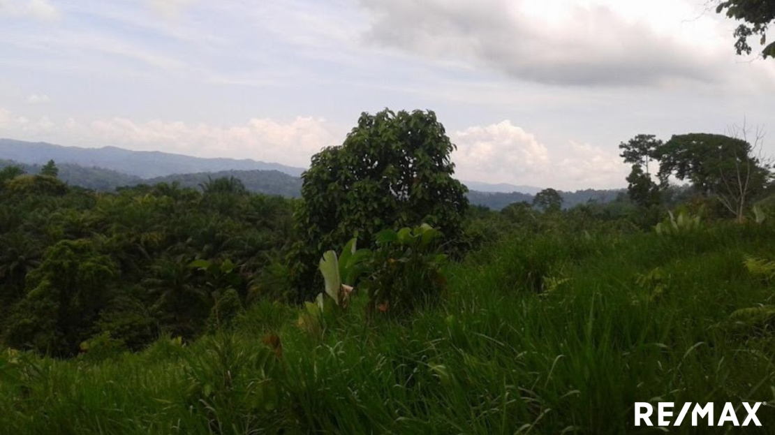 Golfito>Rio Claro de Pavones Real Estate Listings 25191