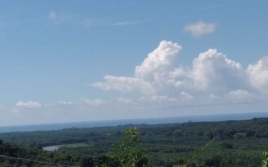 Savegre de Quepos