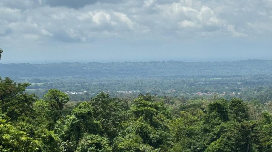 San Carlos