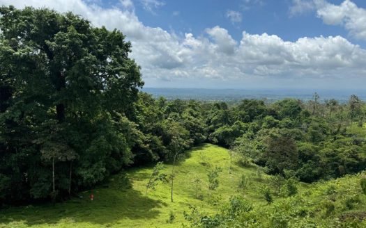 San Carlos -  La Fortuna
