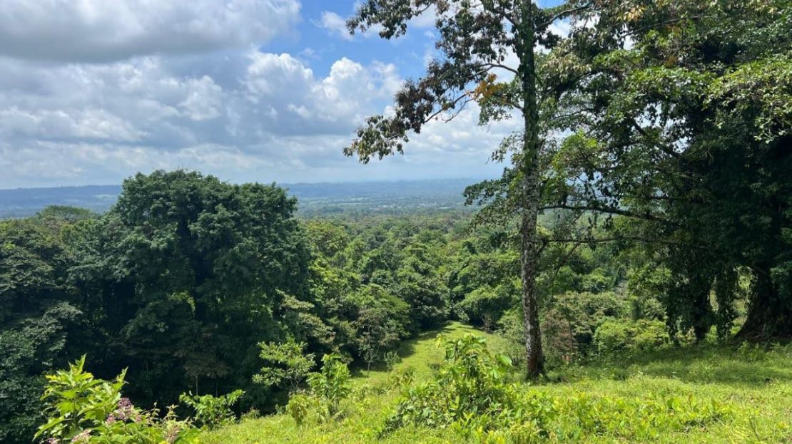 San Carlos -  La Fortuna