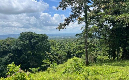 San Carlos -  La Fortuna