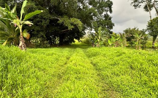 Expansive 37,000m² Farm Near La Fortuna – Stunning Arenal Volcano Views!