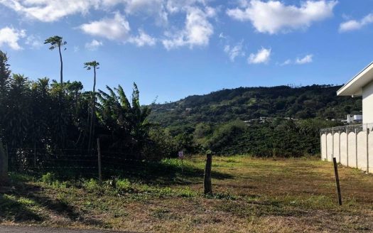 Price Reduction!!! 1,000m² Commercial & Residential Lot in Santiago, San Ramón – Prime Location with Endless Potential!