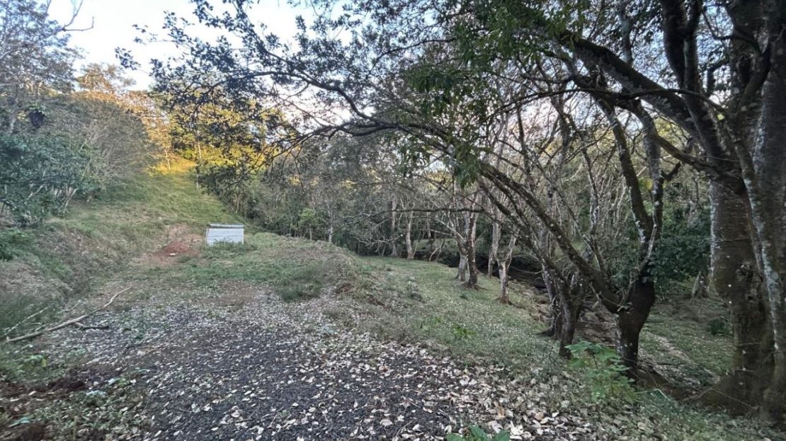Costa Rica Real Estate