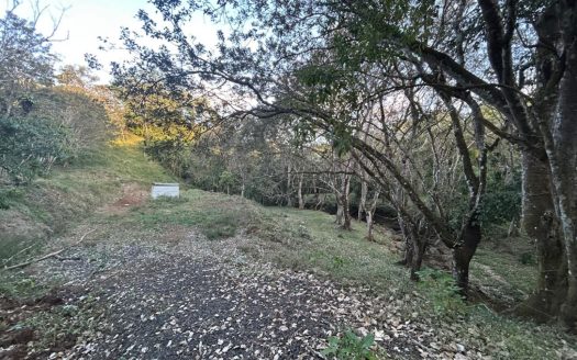 Reduction for quick sale! 8,160m² Lot in Santiago, San Ramón – Ideal for an Eco-Retreat or Homestead!
