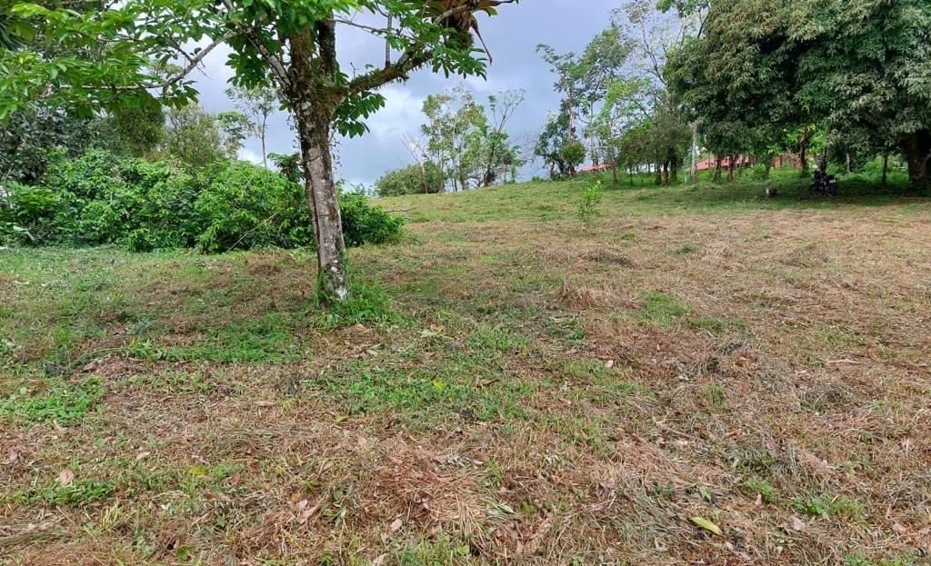 496m² Lot with Stunning Views – Peñas Blancas