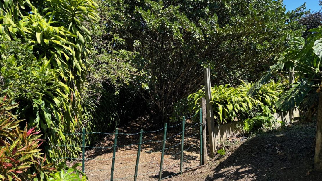 Costa Rica Real Estate