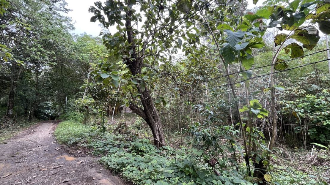 Savegre de Quepos